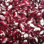 Сортова квасоля гуртом - великий асортимент 