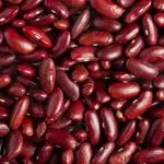 Продаємо сортову квасолю.  Кідні,  Кофейка,  Ластівка,  Біла кругла,  Шоко
