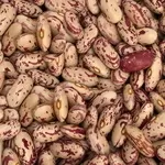 Продаємо квасолю різних сортів. В наявності є різні сорти