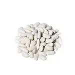 Купуємо квасолю. Від 10 тон. Приймаємо різні сорти