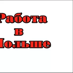 Работа в Польше-сбор грибов для женщин