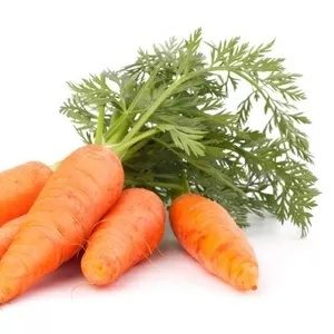 Купить морковь оптом от 20т