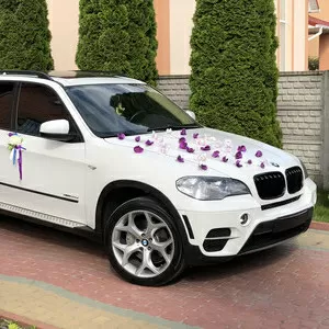 Авто на Свадьбу Винница