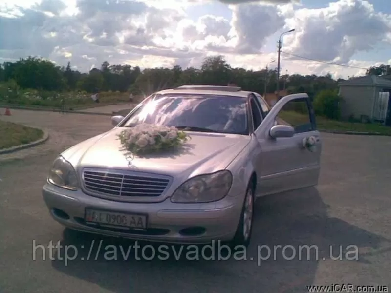 Автомобили на свадьбу, автомобили в аренду, авто на свадьбу, 