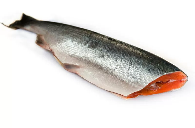 Красная рыба( семга)