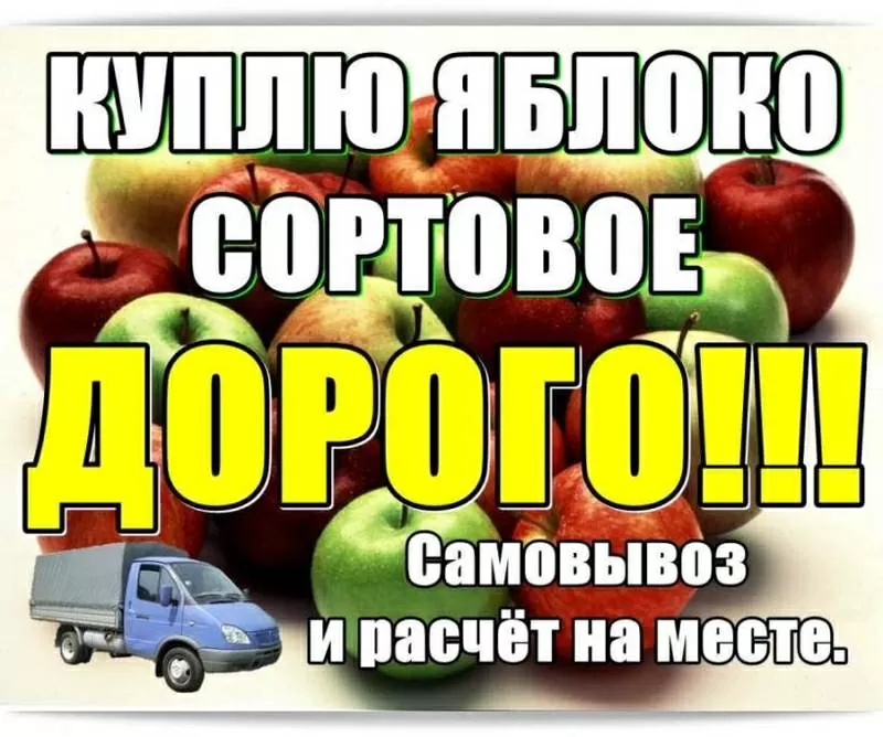 Куплю яблоко сортовое,  дорогo.