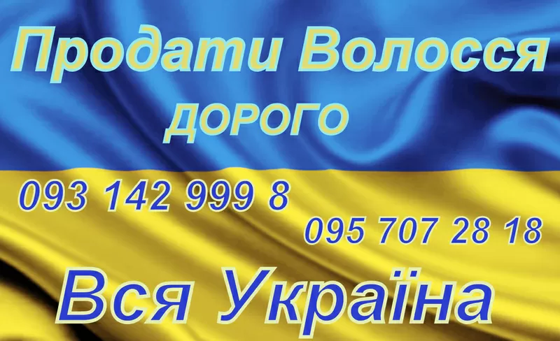 Продать Куплю волосы Винница Дорого 0931429998